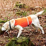 Hunting Gun Dog vesti Reflect- Orange